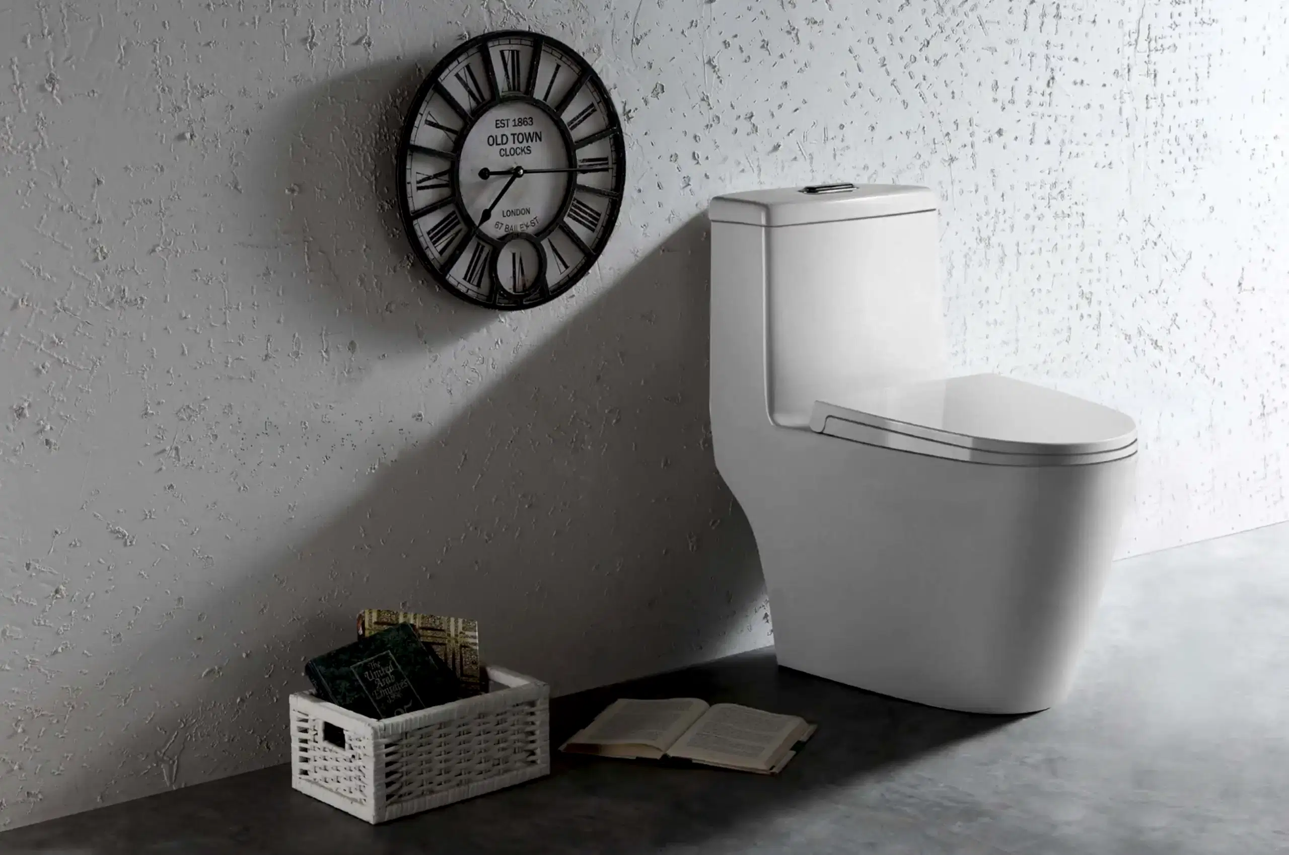 Sanitary Ware 9 Sleek one piece toilet design with a modern look from a top sanitary ware manufacturer scaled 1