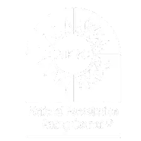 Custom Aluminum Doors and Windows Solution For Your Project 6 NFRC